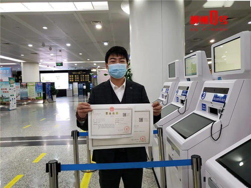 柳州100項便民服務周末照常辦理，教育信息咨詢服務位列其中